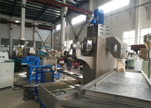 500–800 kg/h Doppelschnecken-PET-Pelletiermaschine mit Wasserstrang-Hilfssystem