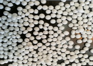 Calcium Carbonate Filler Masterbatch Machine Grutte Kapasiteit W6Mo5Cr4V2 Screw Material